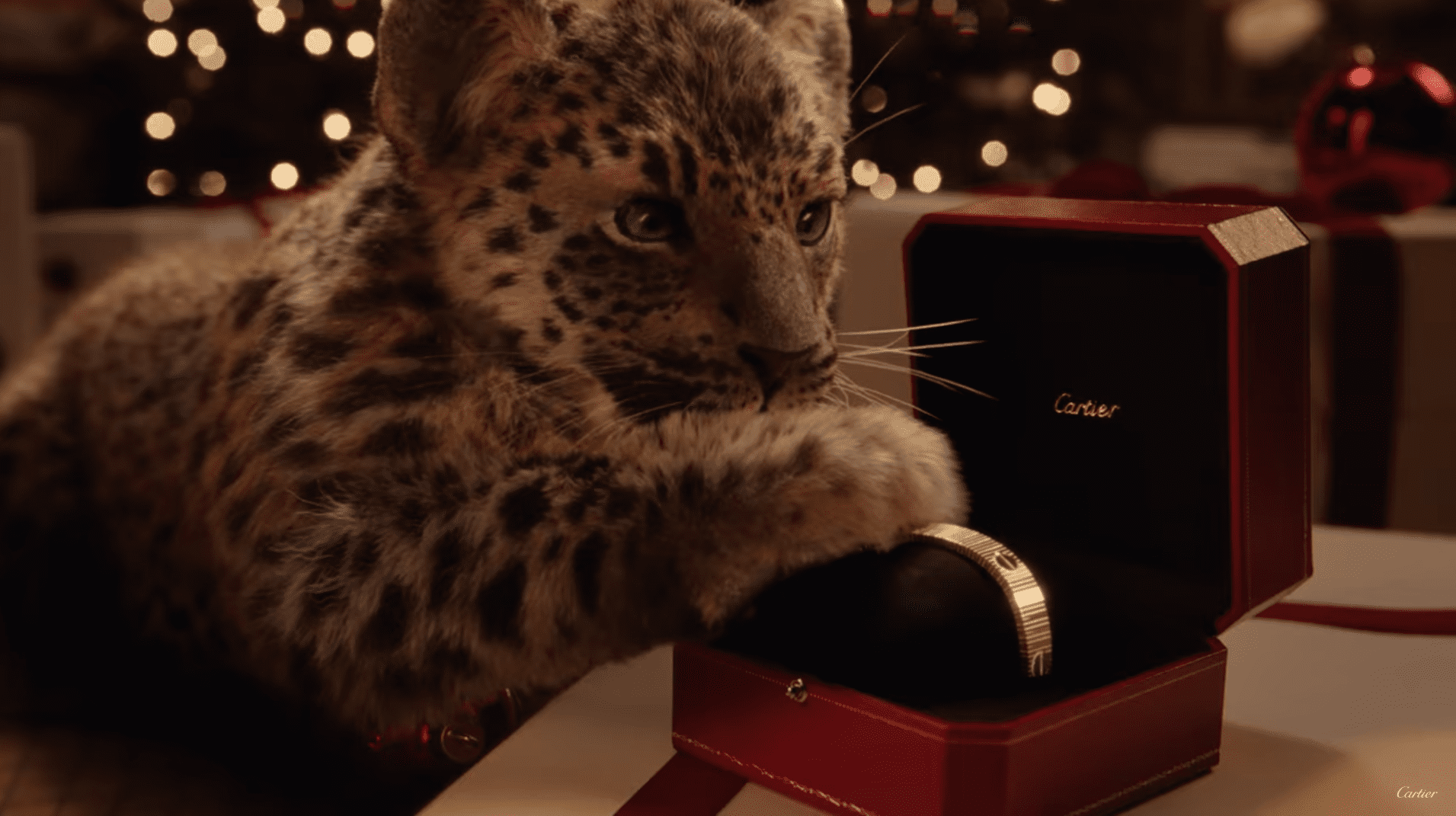 A brutal fight for digital attention